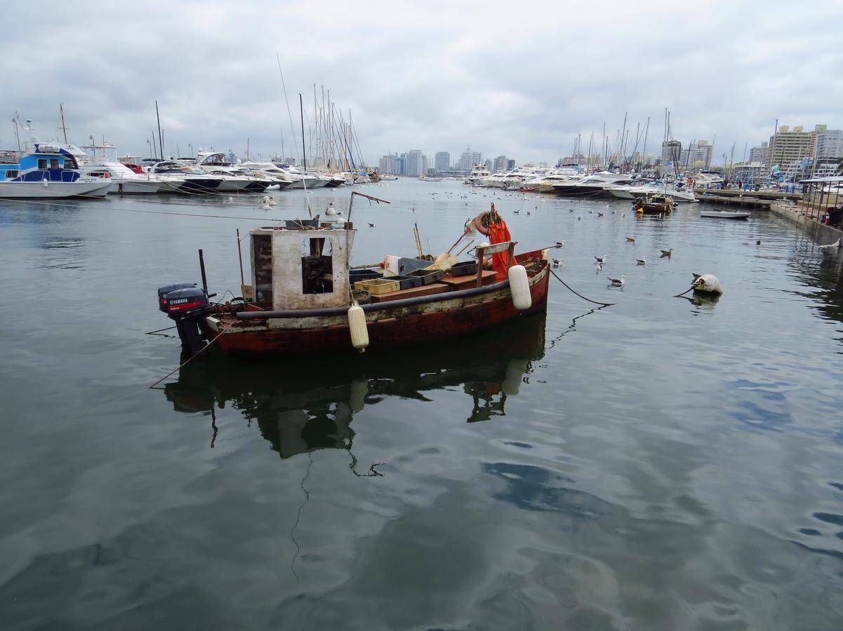 Los Sargos Punta del Este Esterno foto