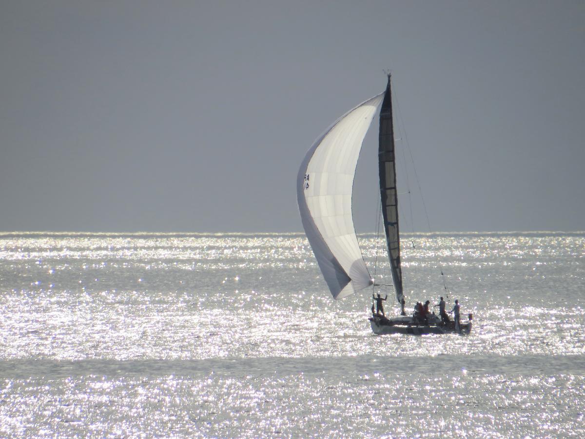 Los Sargos Punta del Este Esterno foto